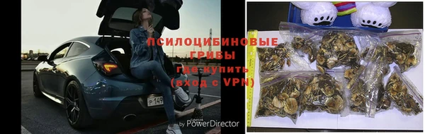 бутират Алексеевка