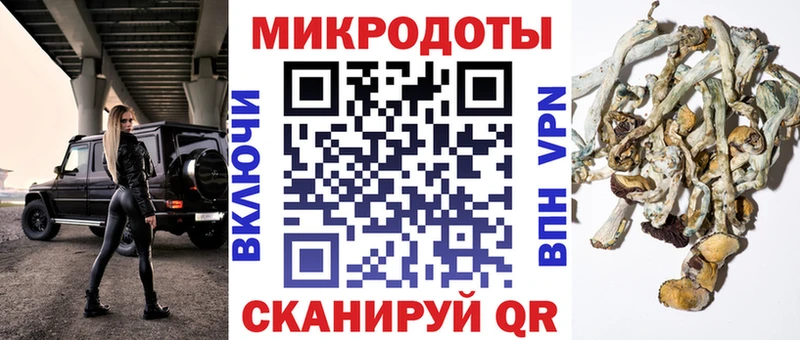 маркетплейс наркотические препараты  Кизел  Псилоцибиновые грибы Cubensis 